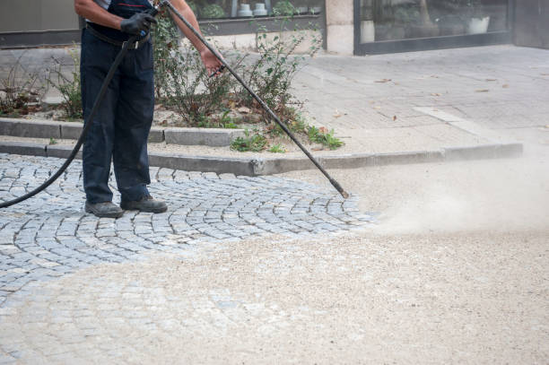 Animal Enclosure Cleaning in Merion Station, PA